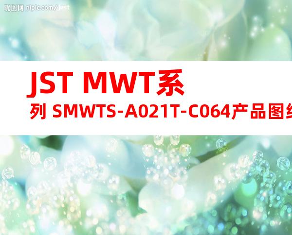 JST MWT系列 SMWTS-A021T-C064产品图纸